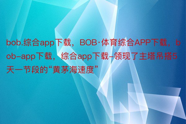 bob.综合app下载，BOB·体育综合APP下载，bob-app下载，综合app下载-领现了主塔吊搭5天一节段的“黄茅海速度”