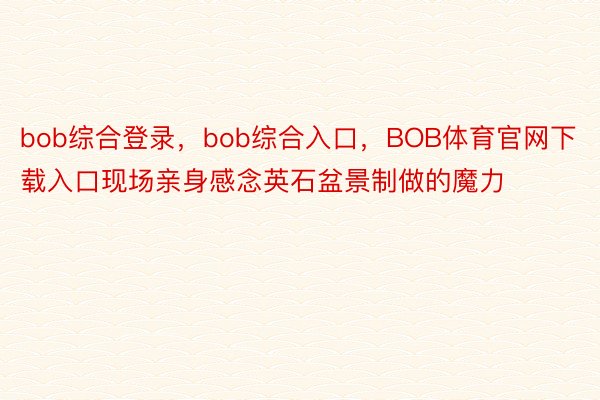bob综合登录，bob综合入口，BOB体育官网下载入口现场亲身感念英石盆景制做的魔力