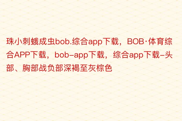 珠小刺蛾成虫bob.综合app下载，BOB·体育综合APP下载，bob-app下载，综合app下载-头部、胸部战负部深褐至灰棕色