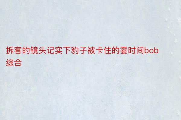 拆客的镜头记实下豹子被卡住的霎时间bob综合